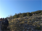 20130819_073239
