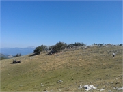 20130819_104020