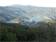 DSCN0503