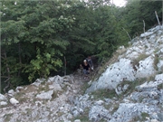 DSCN0507