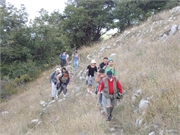 DSCN0522
