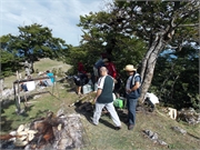 DSCN0544