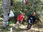 DSCN0546
