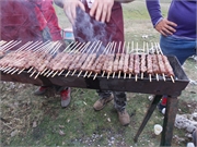 DSCN0554