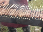 DSCN0555
