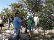 DSCN0617