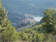 DSCN0721