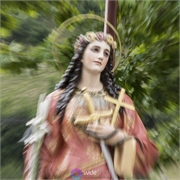 DSC00971